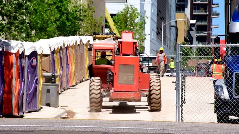 Best Root Management and Removal  in Fort Morgan, CO